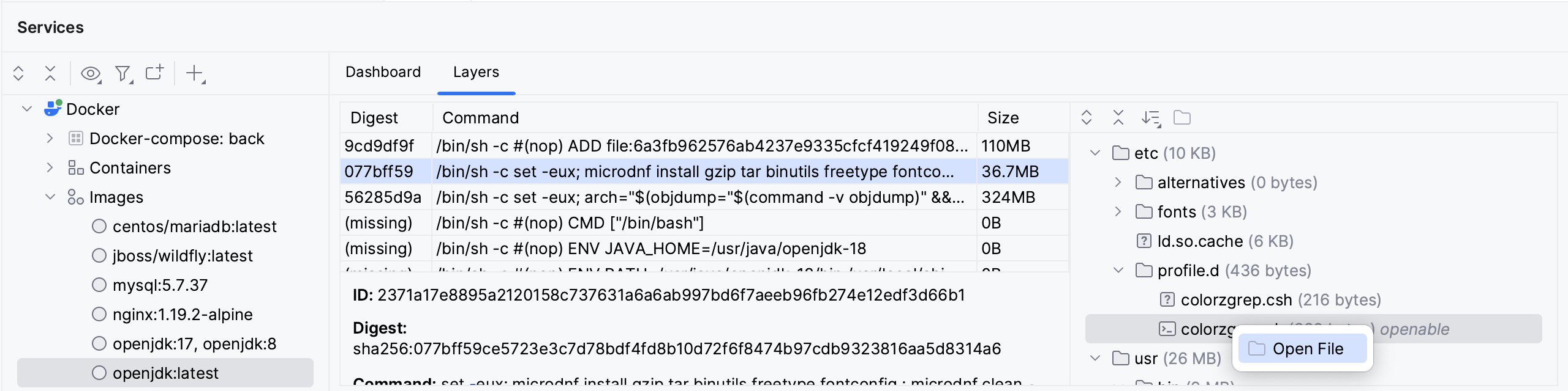 从 Docker 层打开文件 从 Docker 层打开文件
